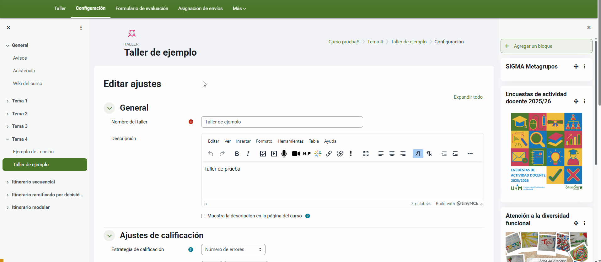 Formulario de evaluación para un taller (número de errores)