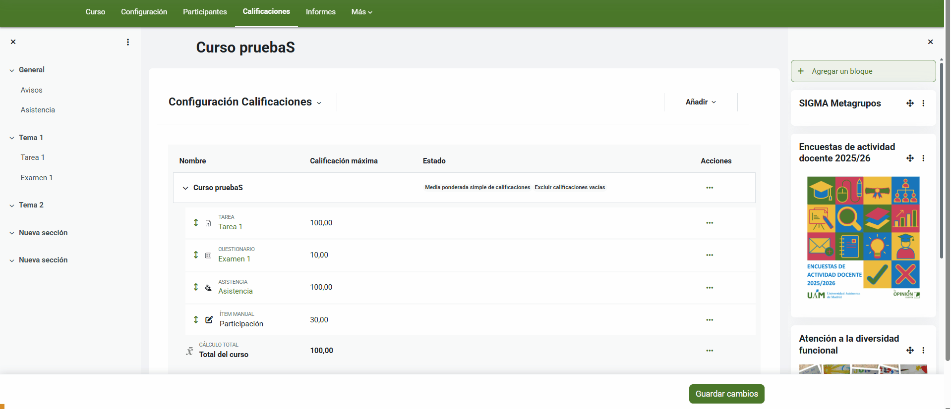 Teniendo activo el Modo edición, desde el Informe de Calificador se pueden asignar calificaciones de ítems manuales