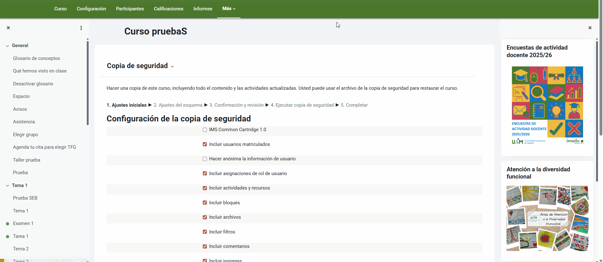 Gif que muestra el paso de los ajustes iniciales de la copia de seguridad