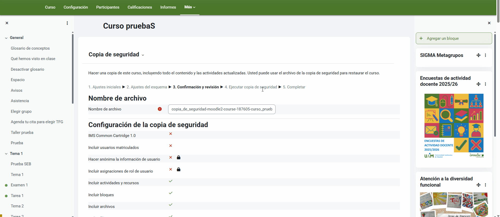 Gif que muestra el proceso de revisión antes de ejecutar la copia de seguridad